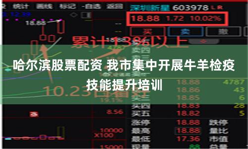 哈尔滨股票配资 我市集中开展牛羊检疫技能提升培训