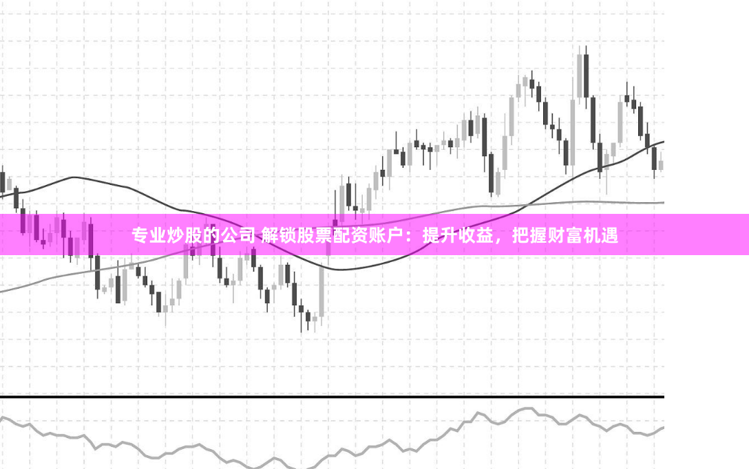 专业炒股的公司 解锁股票配资账户：提升收益，把握财富机遇