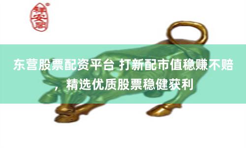 东营股票配资平台 打新配市值稳赚不赔，精选优质股票稳健获利
